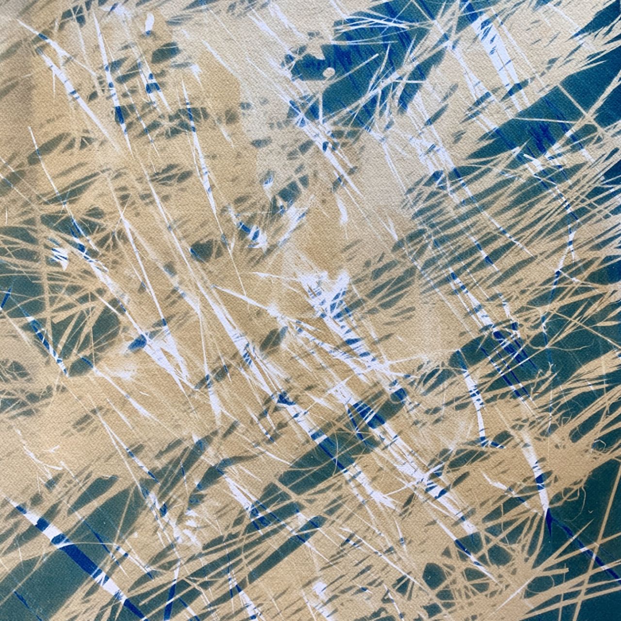 Cyanotype