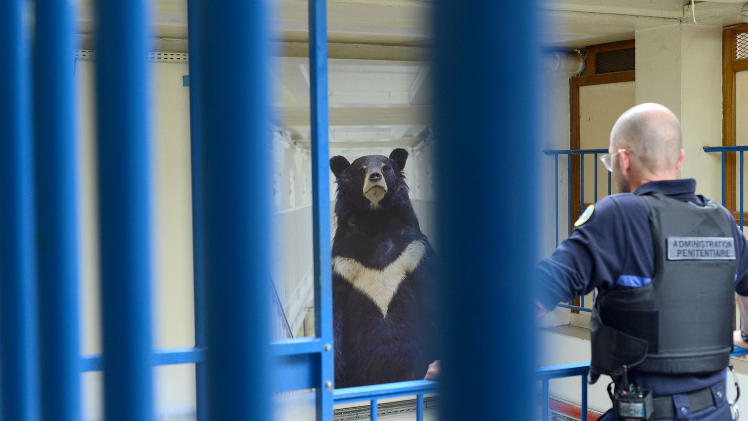 Histoire Animale de la Prison
