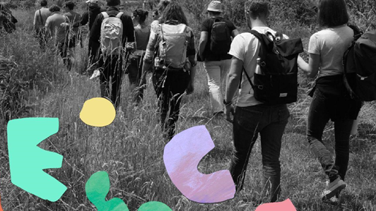 Le pôle arts et territoires au service de l'accès à la culture