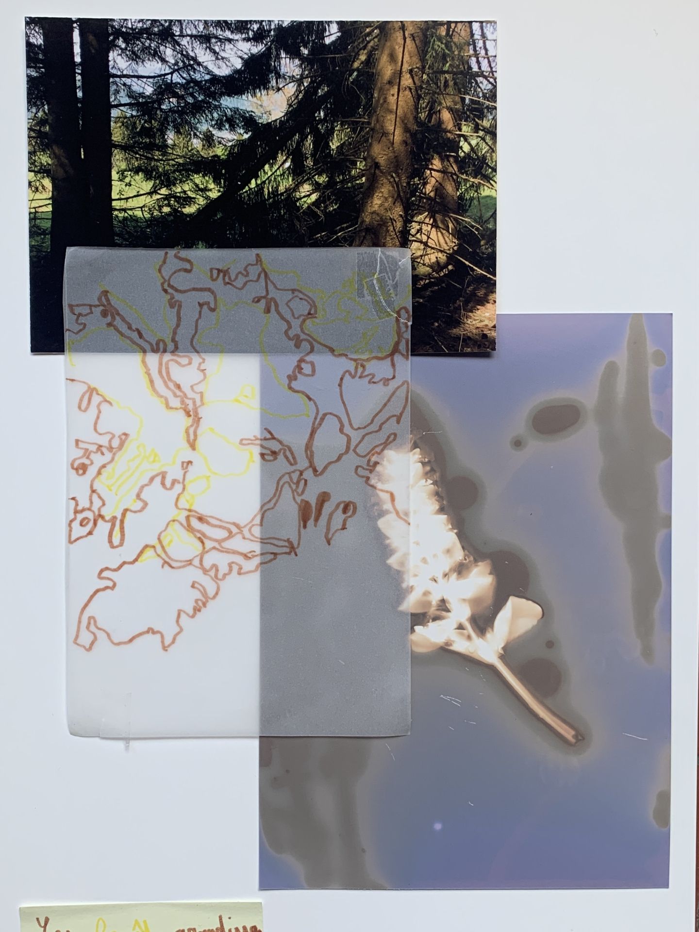 Montage d'images sur l'alpage