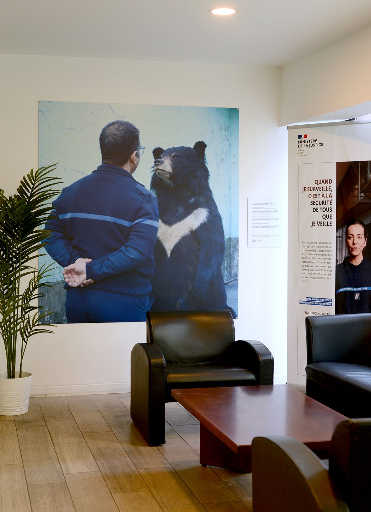 Histoire Animale de la Prison, Direction interrégionale des services pénitentiaires de Lyon