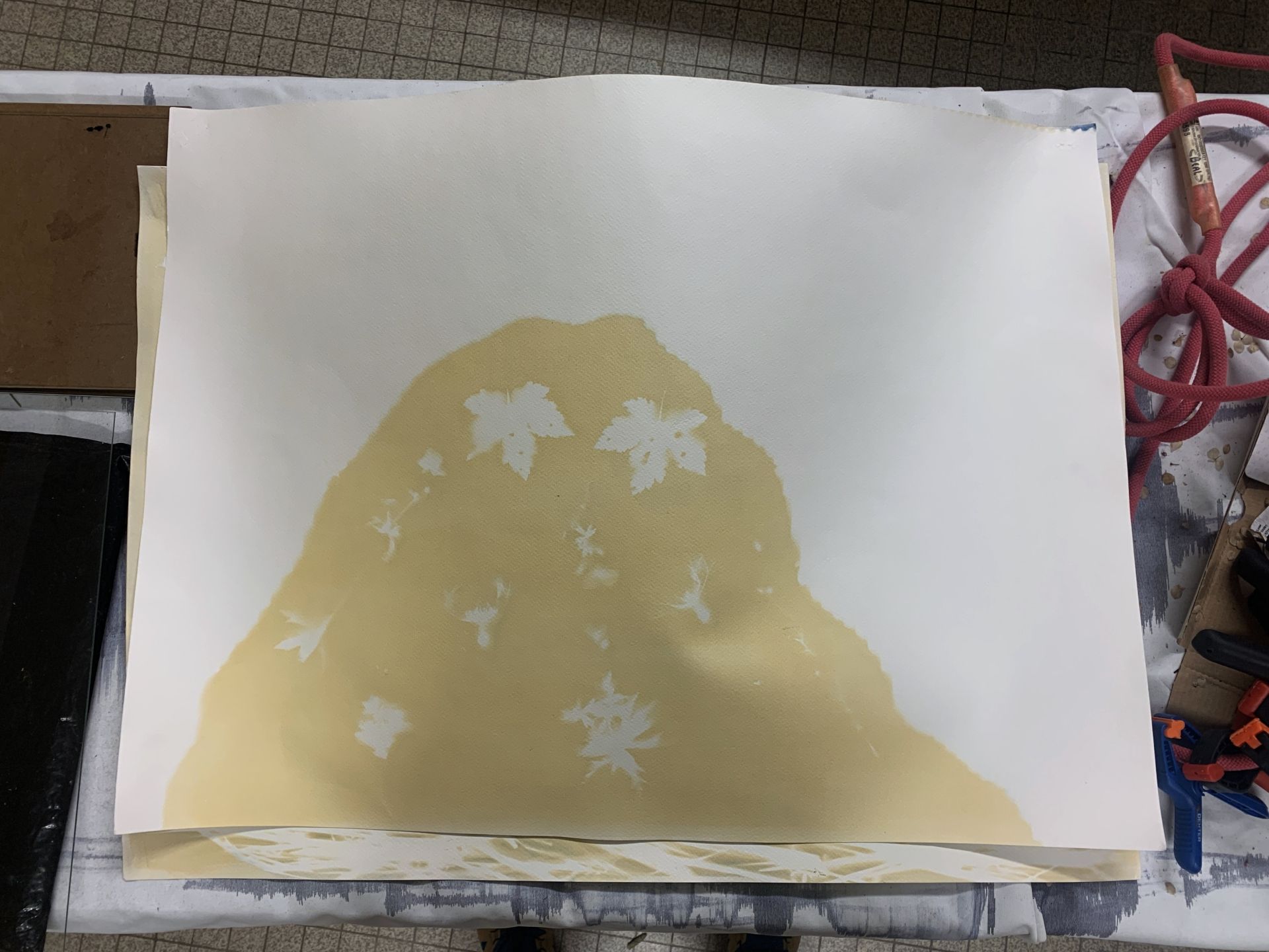 Cyanotype viré
