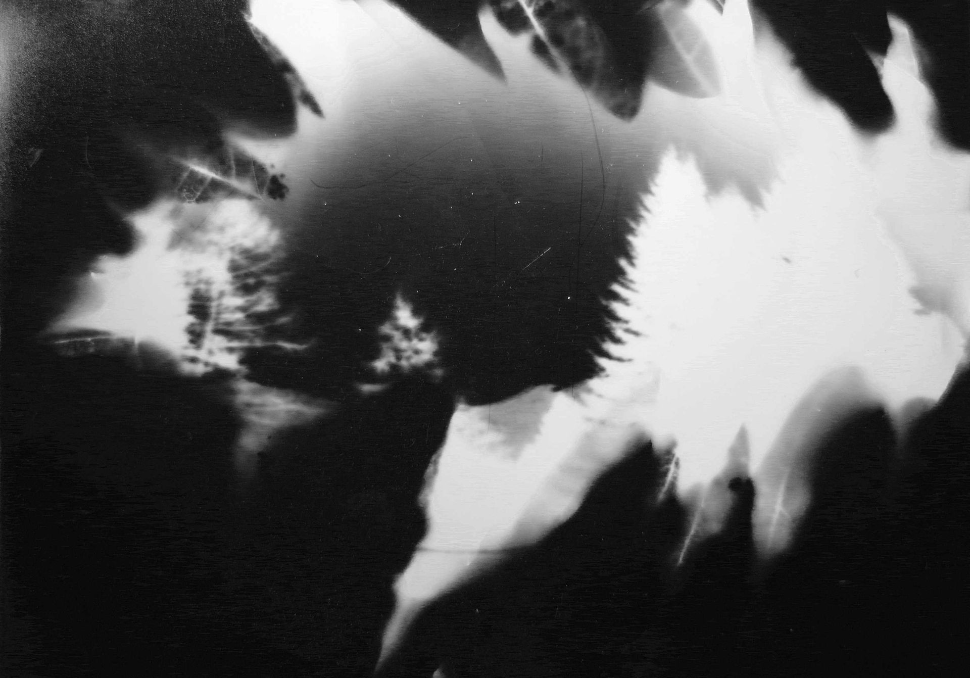 Photogramme + sténopé
