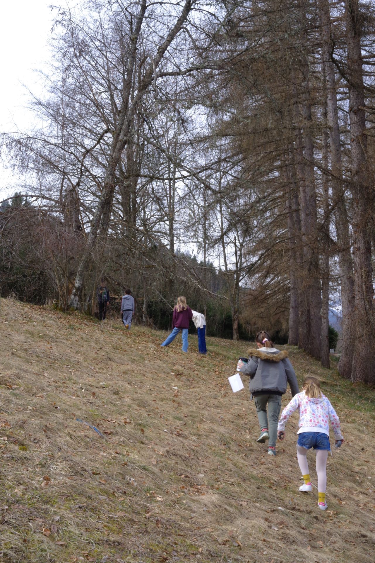 Installation des sténopés