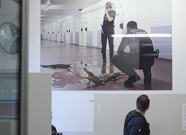 Histoire Animale de la Prison, Maison d’arrêt de La Talaudière (Saint-Étienne) 