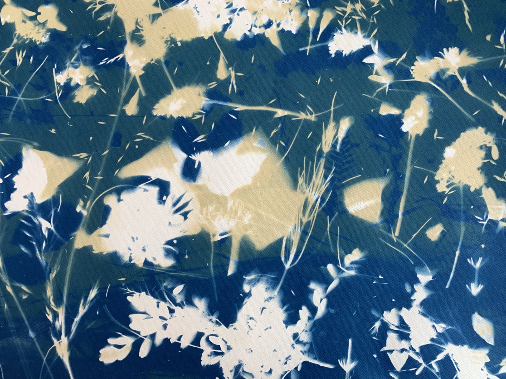 Cyanotype