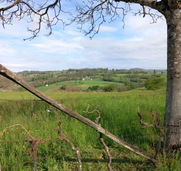 Temps à penser : nature, environnement, patrimoine - comment faire culture ensemble ?